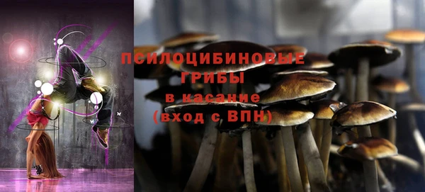 прущие крисы Алексин