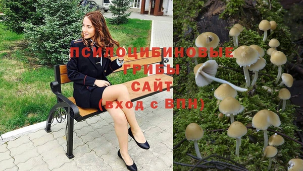 таблы Алексеевка