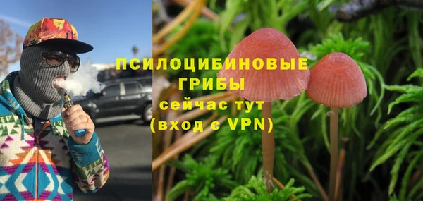 мяу мяу мука Алзамай