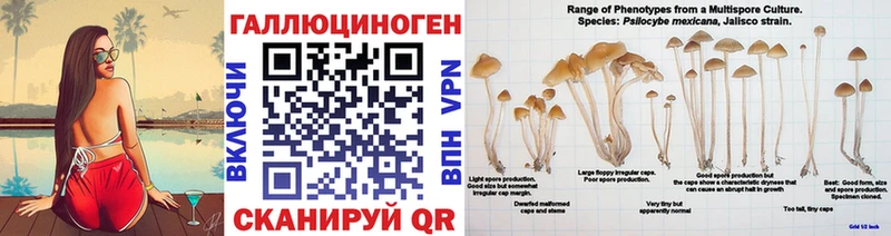Псилоцибиновые грибы Cubensis  Нижнеудинск 